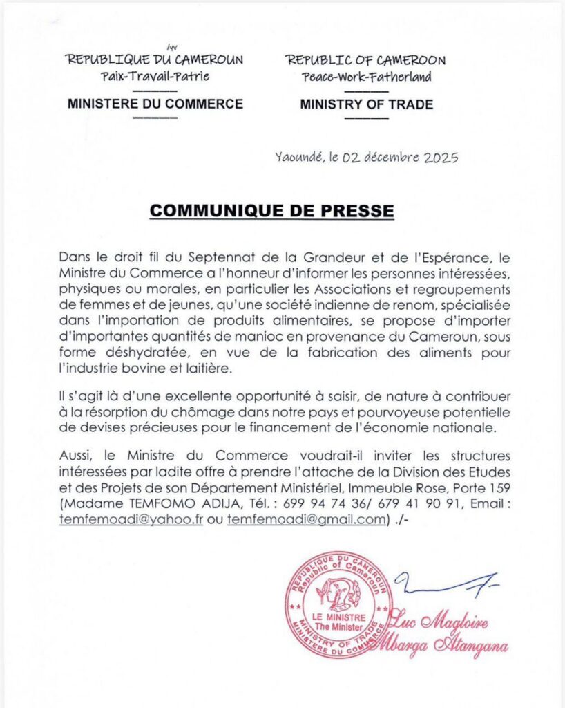 Une société indienne veut importer massivement du manioc camerounais : un souffle d’opportunité pour l’économie nationale