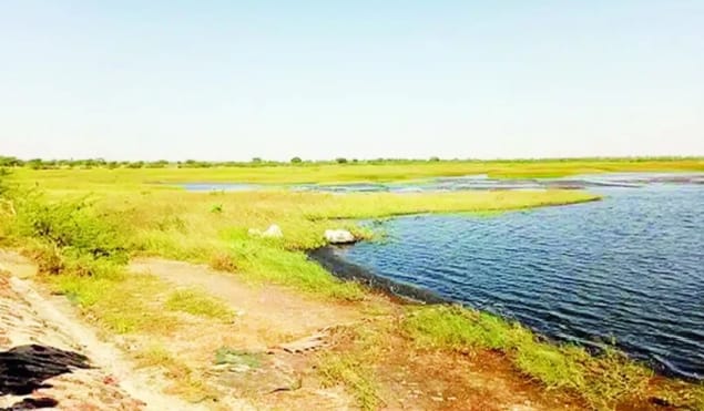 Sénégal : Les sols en danger, une urgence pour la souveraineté alimentaire