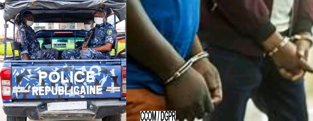 Bénin - Tori-Cada : Deux individus interpellés pour tentative d’escroquerie sur un champ d’ananas