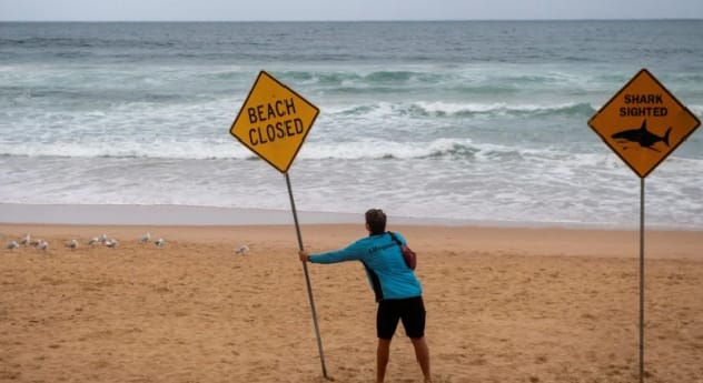 Australie : quand les pluies extrêmes transforment les plages en zones à haut risque face aux requins