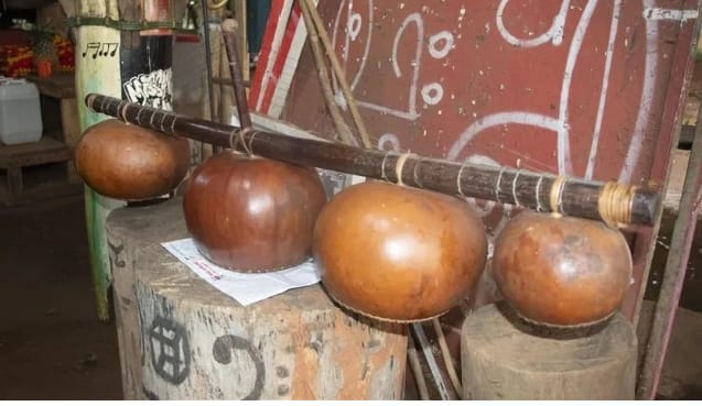 Du champ de bataille au patrimoine mondial : le mvet, l’instrument mystique qui galvanisait les guerriers d’Afrique centrale