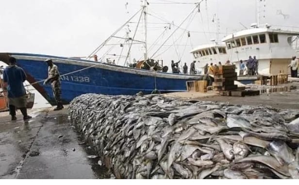 Huit navires arraisonnés en 13 jours : l’innovation tactique déployée par le Sénégal et ses voisins