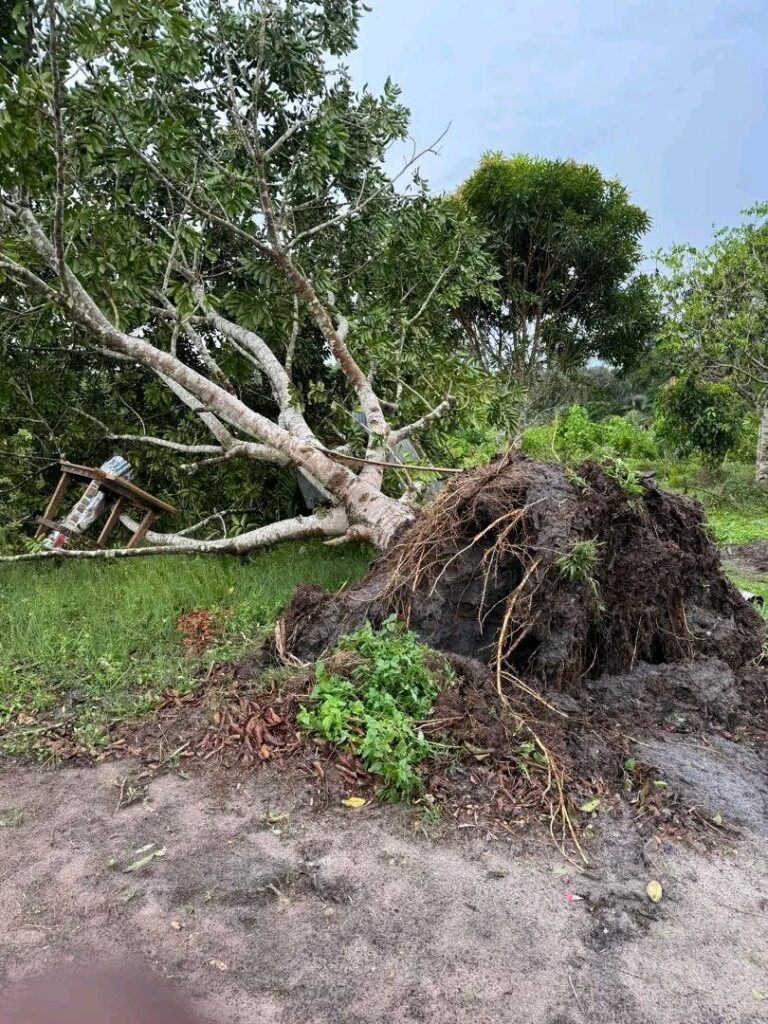 Congo-Brazzaville / Faits divers : Une tornade dévaste Tchikapika.