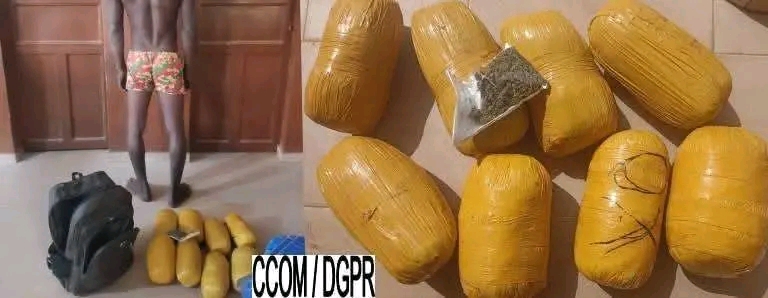 Bénin/Ouaké : un orpailleur interpellé avec du chanvre indien.