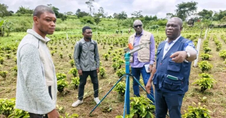 Togo : la FAO investit 3,5 milliards FCFA pour renforcer la sécurité alimentaire.