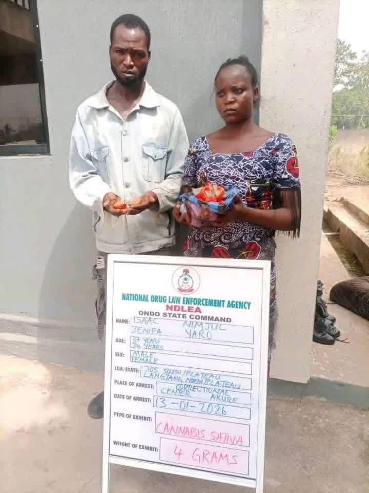 Nigeria/Akure : ils tentent d’introduire du chanvre en prison caché dans des tomates… et se font arrêter.