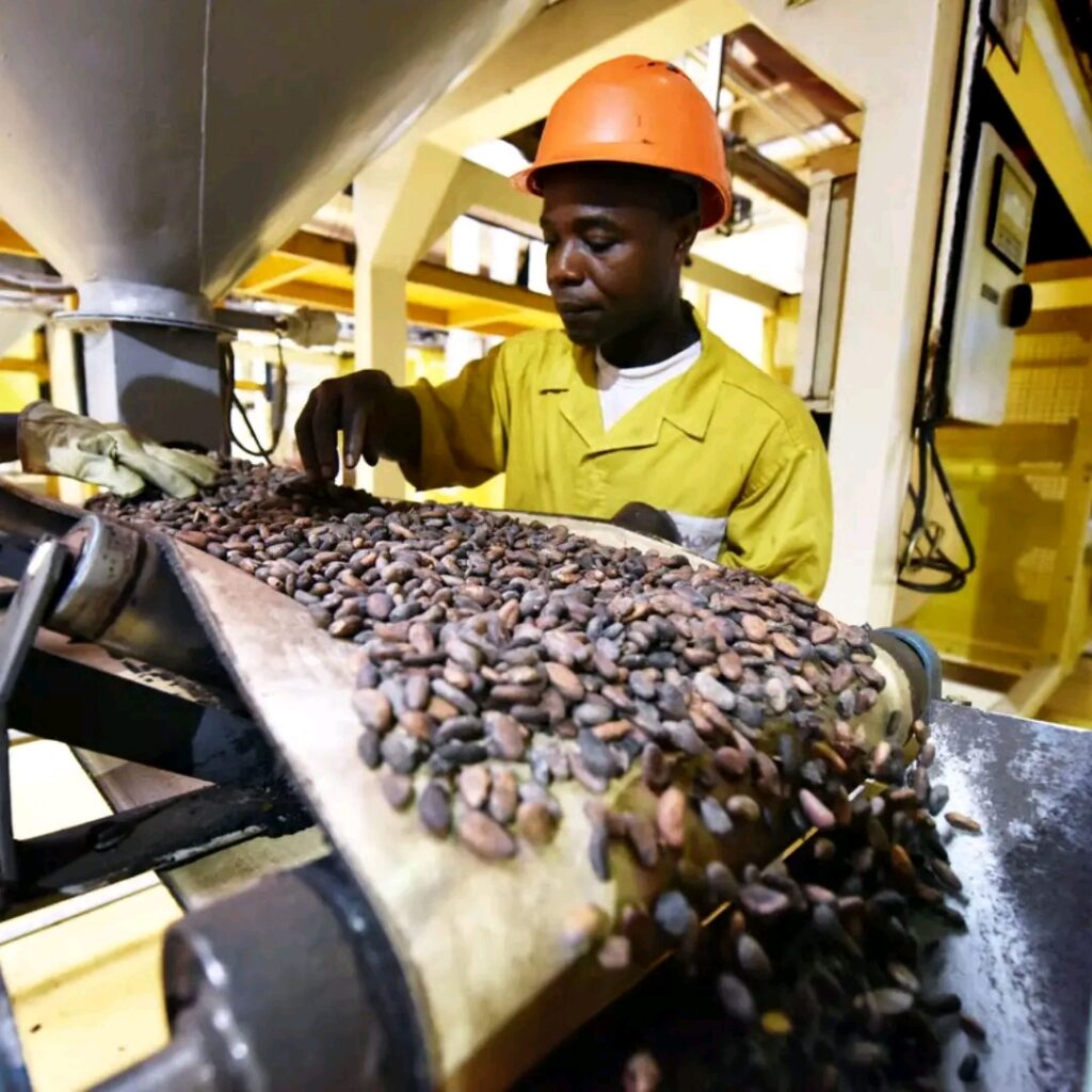 Cameroun : le pays transforme désormais 80 % de son cacao (Sika Finance)