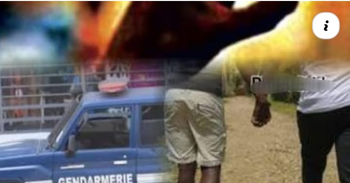 Saint-Louis : une enquête de la gendarmerie met au jour un réseau mêlant escroquerie numérique et infractions pénales