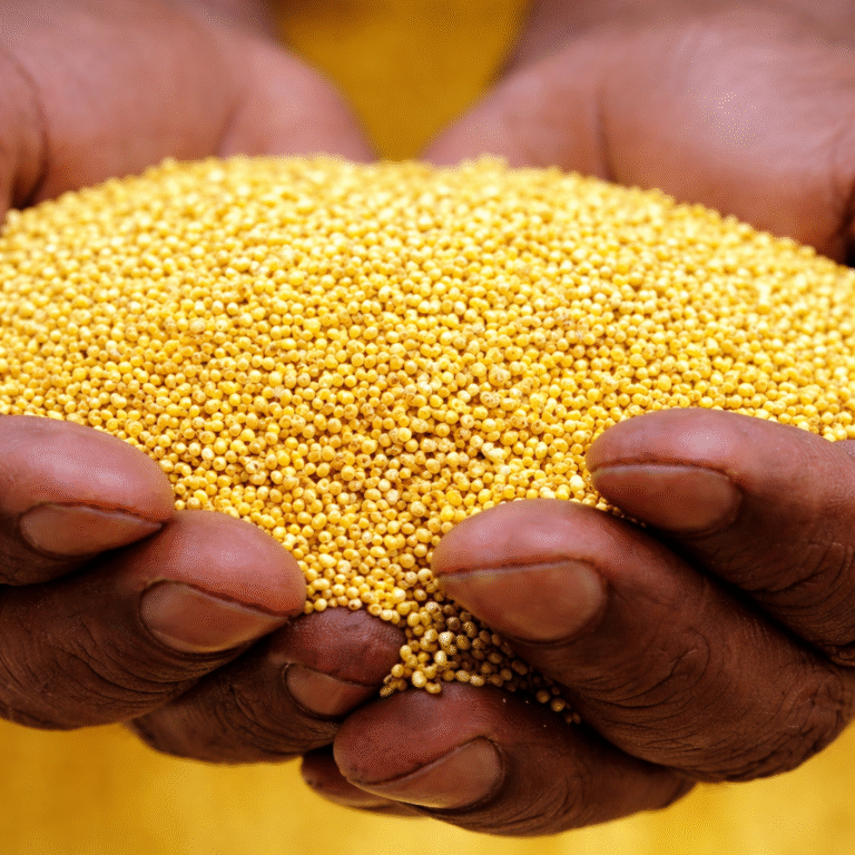 Ghana : Washington et Pékin font pression contre la hausse des taxes sur l’or.