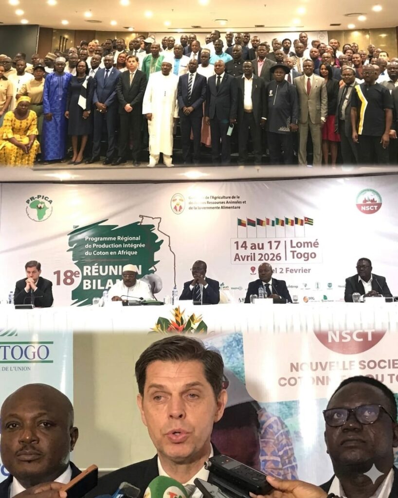 Coton en Afrique : Lomé accueille un sommet stratégique pour relancer une filière clé