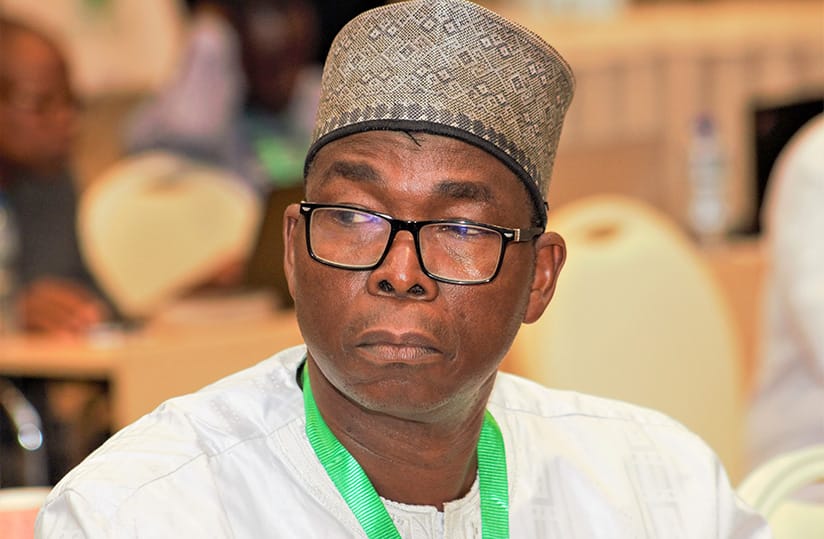 Afrique/Cotonnier en danger : l’Urgence d’une riposte intelligente face aux ravageurs