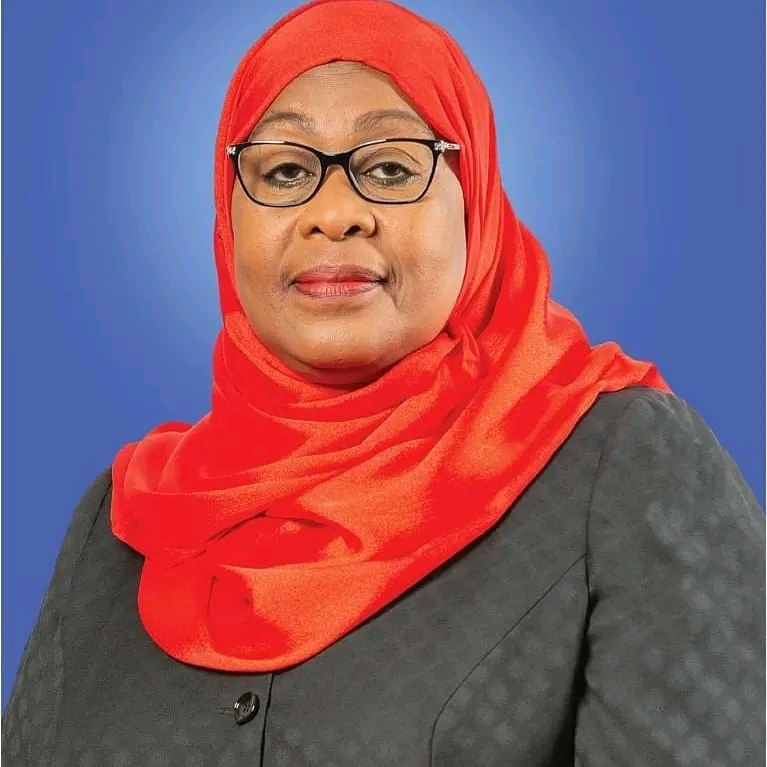 La Tanzanie suspend ses relations avec Pretoria après des violences xénophobes
