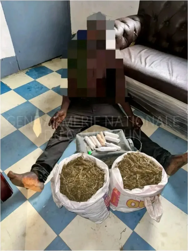 Cameroun : Un tradipraticien interpellé à Douala pour détention et vente présumées de cannabis