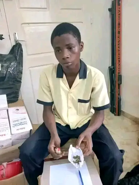 Cameroun : Un candidat au Probatoire interpellé après la découverte présumée de cannabis dans un centre d’examen à Ebolowa