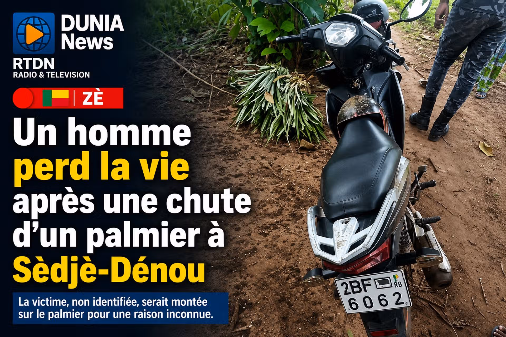 Zè : un homme meurt après une chute mortelle d’un palmier à Sèdjè-Dénou