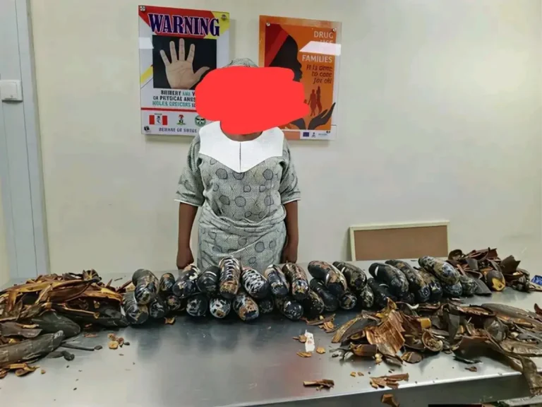 Nigeria : Une femme de 67 ans arrêtée à l'aéroport de Lagos avec 13 kg de cocaïne cachés dans des pelures de banane plantain.
