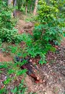 Bénin : Six présumés terroristes neutralisés lors d'une opération des Forces armées à Kouandé.