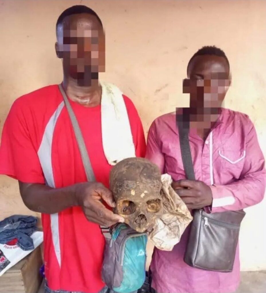 Bénin : Deux personnes interpellées à Godomey après la découverte d'un crâne humain.