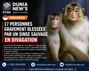 Accueil
