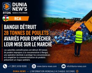 Accueil