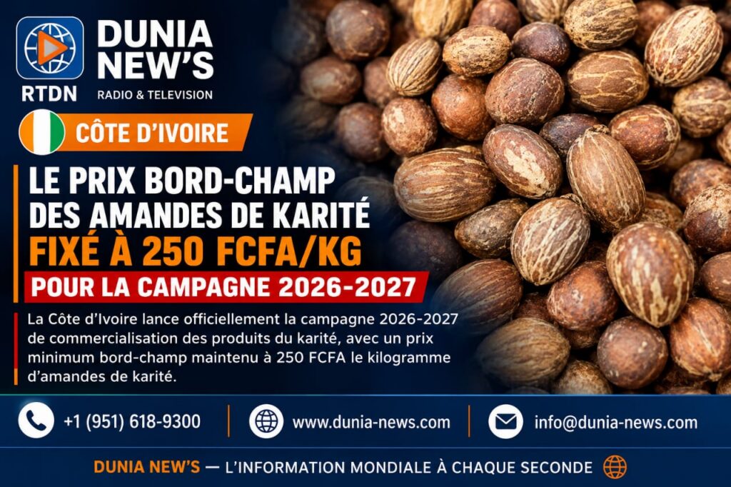 Côte d’Ivoire : Le prix bord-champ des amandes de karité fixé à 250 FCFA/kg pour la campagne 2026-2027
