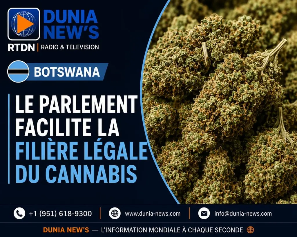 Botswana : le Parlement facilite la mise en œuvre de la filière légale du cannabis