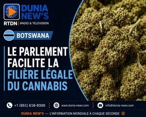 Accueil