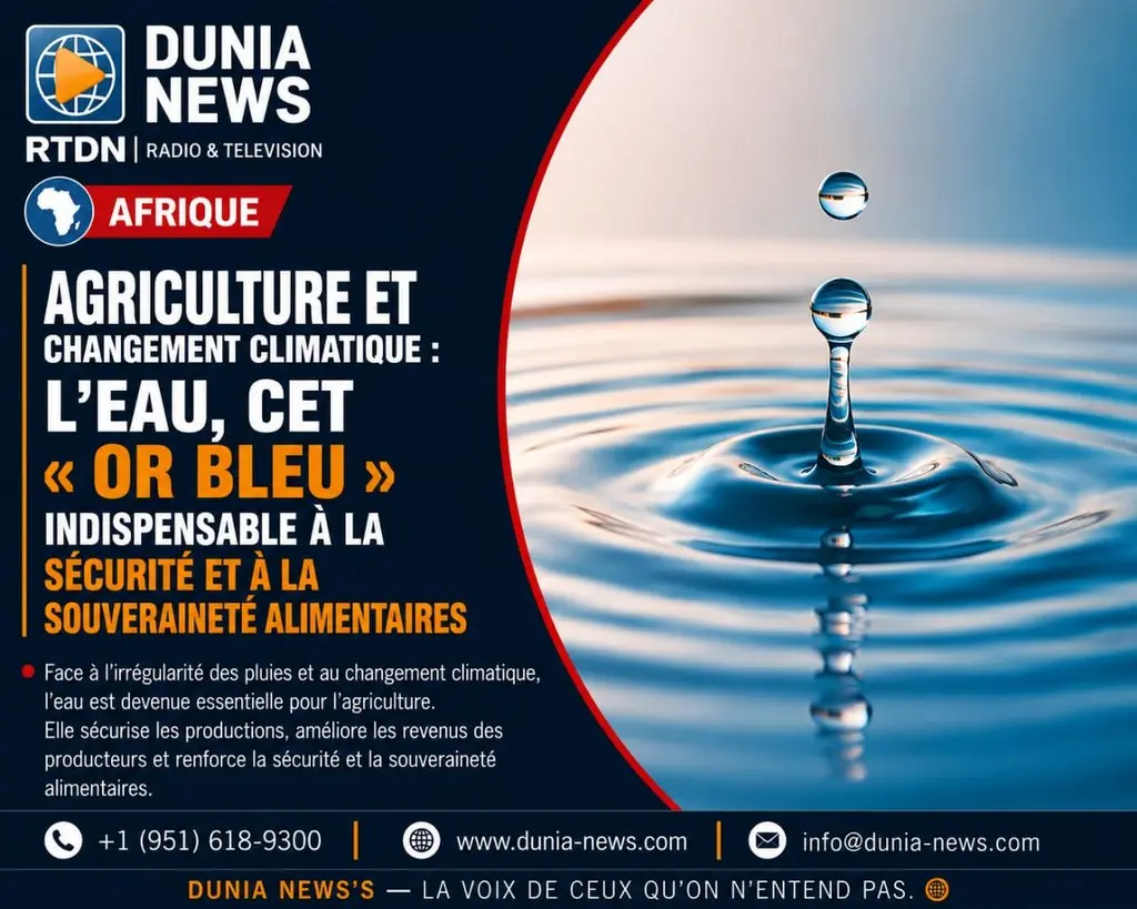 Agriculture et changement climatique : l’Eau, cet « Or bleu » devenu indispensable à la sécurité et à la souveraineté alimentaires