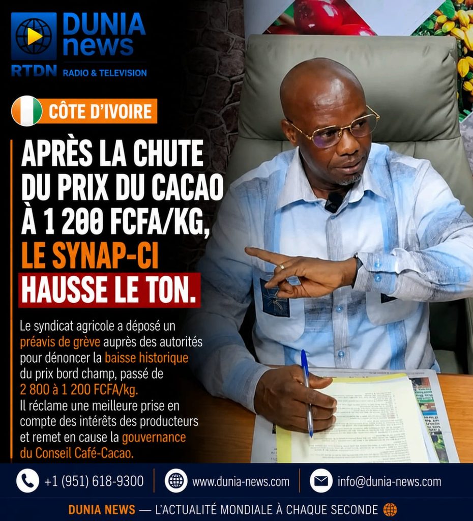 Côte d'Ivoire : Après la chute du prix du cacao à 1 200 FCFA/kg, le SYNAP-CI hausse le ton