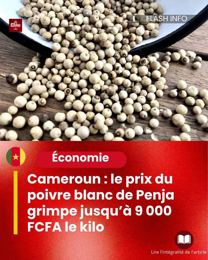🇨🇲Le prix du poivre de Penja augmente au Cameroun