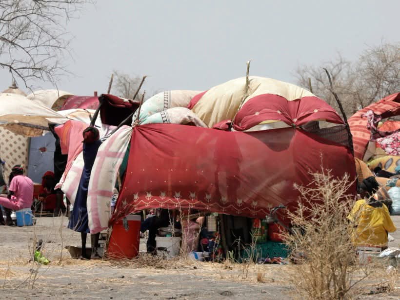 TCHAD - 12 morts et trois blessés lors des affrontements entre éleveurs et agriculteurs TCHAD - 12 morts et trois blessés lors des affrontements entre éleveurs et agriculteurs
