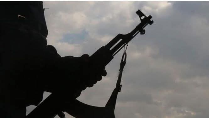 Nigeria : les attaques de bandits armés font 50 morts dans l'Etat de Taraba Nigeria : les attaques de bandits armés font 50 morts dans l'Etat de Taraba