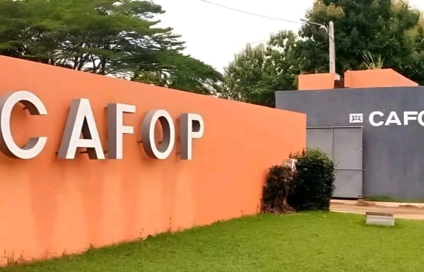 Côte d’Ivoire : 262 élèves-maîtres de la promotion CAFOP 2023-2025 , ont été retirés pour faux diplômes